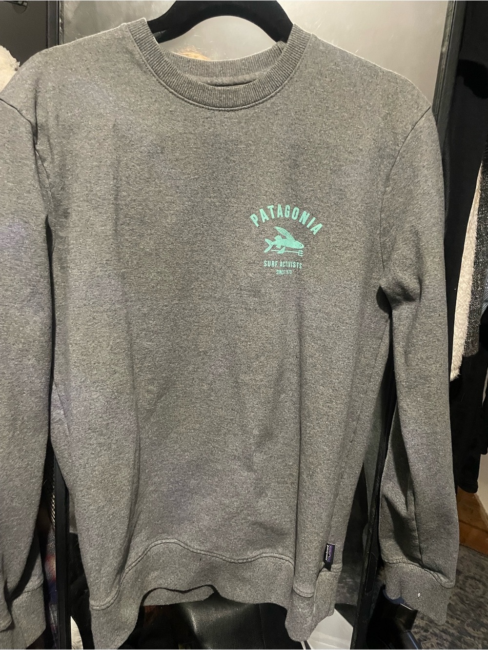 Patagonia Gray Crewneck Sweatshirt with Mint Logo